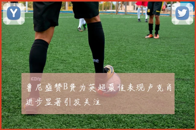 鲁尼盛赞B费为英超最佳表现卢克肖进步显著引发关注
