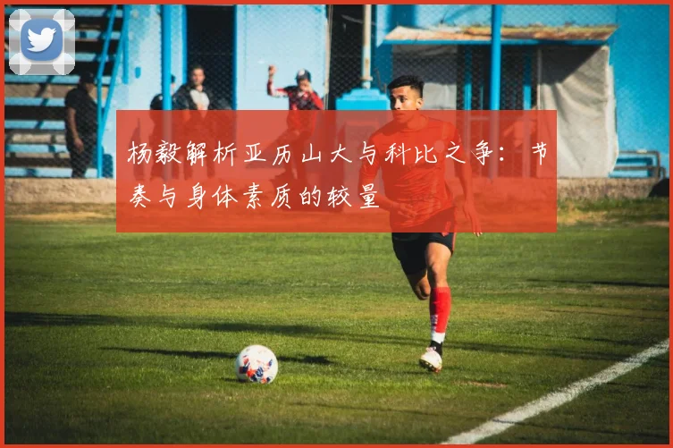 杨毅解析亚历山大与科比之争：节奏与身体素质的较量