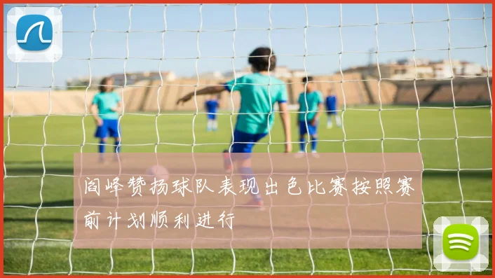 阎峰赞扬球队表现出色比赛按照赛前计划顺利进行